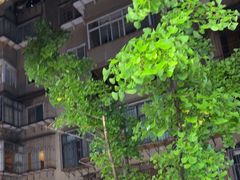 -热火朝天鲜切牛肉火锅(南强街巷店)