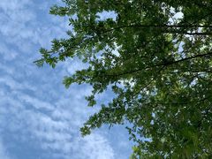 -中国天府农业博览园