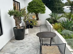-自由生长植物工作室(深港花卉中心店)