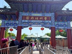 -曹州牡丹园