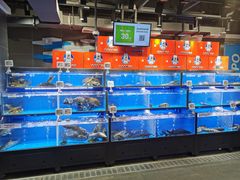 水产区-盒马鲜生(双清路店)