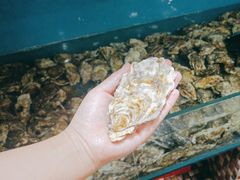 -港畔赶海蒸汽海鲜烧烤自助(仙螺岛店)