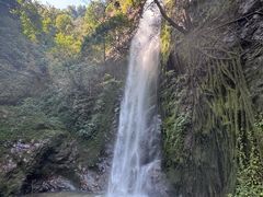 -莫里热带雨林景区