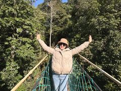 -云南屏边大围山国家公园