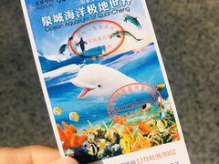 -泉城欧乐堡海洋极地世界
