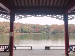-紫霞湖公园