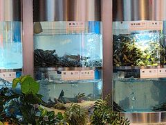 -老船舫·现做活鲜鱼馆(东郊记忆店)