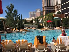 -拉斯维加斯永利酒店