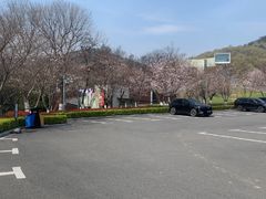 -南京四方酒店-傲途格精选·椽宫中餐厅