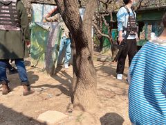 -南山特攻真人CS户外露营轰趴拓展基地