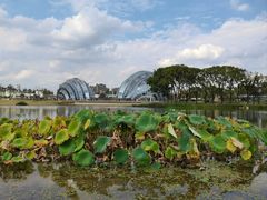 -上海植物园-4号门售票处