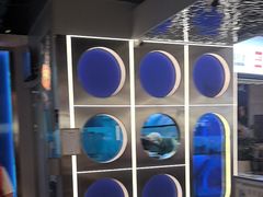 -鱼酷活鱼烤鱼(雨花客厅店)