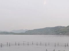 -湖畔居茶楼(湖滨店)
