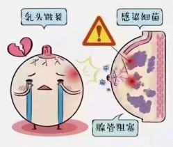 点击看大图 -芭贝诺产后修复(石芽岭花城店)