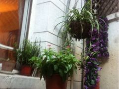 燕庭燕窝下午茶(南京西路店)-燕庭·纯燕窝·甜品下午茶(南京西路店)