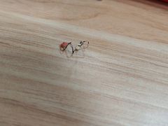 -老东吴食府(雅都店)