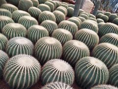 -南通洲际绿博园