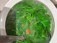 清水时蔬-醉庐·新上海菜(南京西路店)