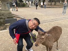 -奈良公园