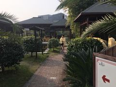 -咸宁万豪温泉谷度假区