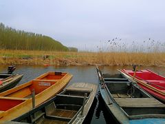 -白洋淀景区
