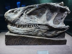 -自贡恐龙博物馆