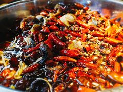 水煮鲶鱼-望京一号·重庆江湖菜(工体店)