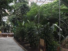 -龙达温泉生态城