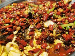 -锦尚阁烤鱼(望京新荟城店)