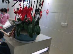 -茂菊口腔连锁(浦东南路店)