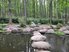 -上海共青森林公园