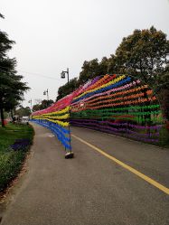 -水八仙生态园