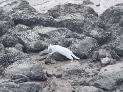 -深圳湾公园(南山区)