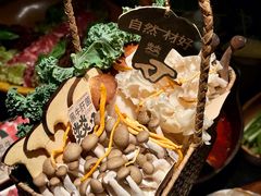-大龙燚·旷野鲜火锅(广州首店)