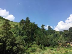 -瑶家饭庄