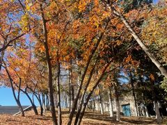 -长春世界雕塑园冰雪艺术天地