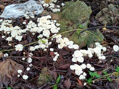 -西涌国际滨海旅游区