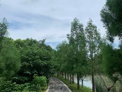 -同里国家湿地公园