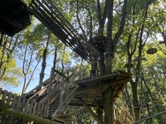 -WeLope紫金山探险公园