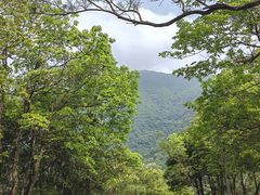 -梧桐山风景名胜区