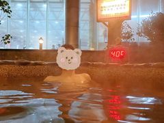-宜春明月山维景国际温泉度假酒店