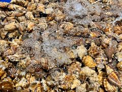 -三亚火车头万人海鲜广场