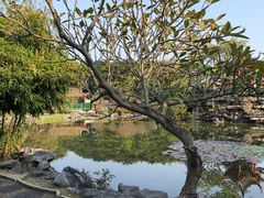 -顺峰山公园