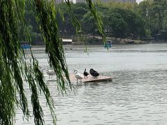 -上海野生动物园