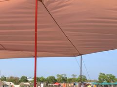 -春花秋色城市公园