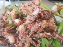 干煸鱿鱼须-鑫来子菜馆