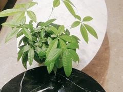 -羊巴道新疆菜·清真(上梅林店)