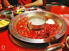 -九鼎轩脆毛肚火锅(南京东路店)