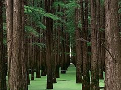-青山湖景区
