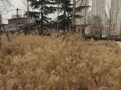 -张之洞与武汉博物馆